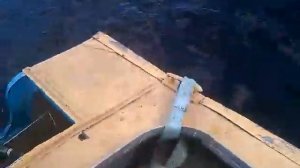 Покатушки. Лодка Прогресс-2, моторы Москва и Вихрь.