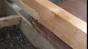 Пристройка из арболита с прорабом Димоном. Часть 9.Заливка потолка.