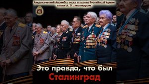 Растёт в Волгограде берёзка