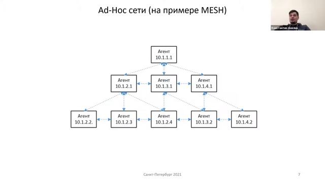 2021.03.23 К. С. Амелин «Эмерджентный (роевой) интеллект в мультиагентной системе управления ...