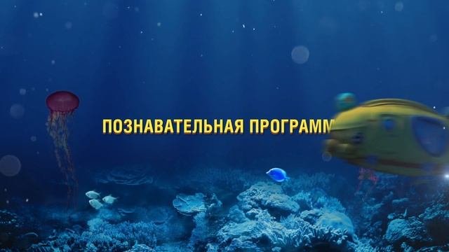 Шоу «Кругосветное путешествие» в Москвариуме! С 28 сентября!