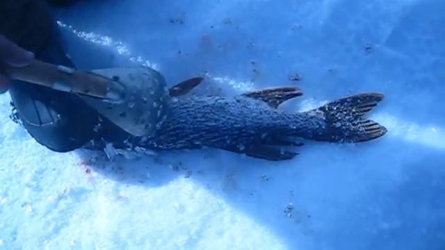 чистка черпаком смотреть онлайн