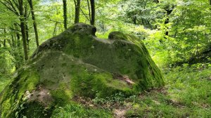 Видео 38 - Скальное корыто с крышкой (Солоники)