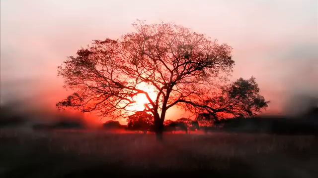 О, мой друг посмотри смотреть онлайн