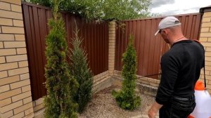 Опрыскиватель Аккумуляторный ДЛЯ ДАЧИ! Опрыскиватель аккумуляторный Дэу Особенности! Где купить!?