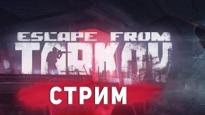 Escape from Tarkov -  Стрим  - ОБЩАЕМСЯ / ХОДИМ В РЕЙД НОЧЬЮ /