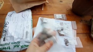 ура! получила посылку с семенами!