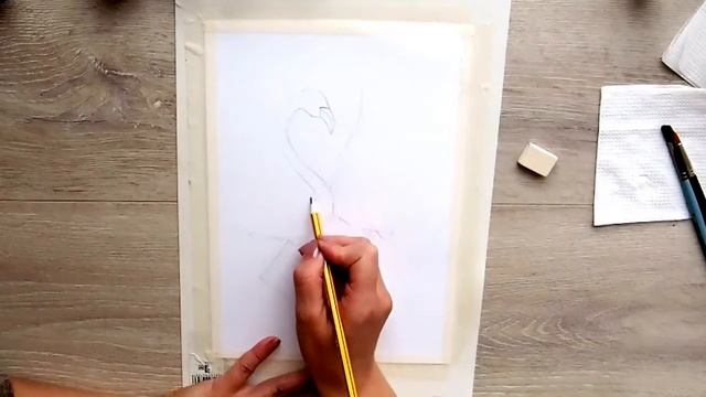Как нарисовать фламинго карандашом