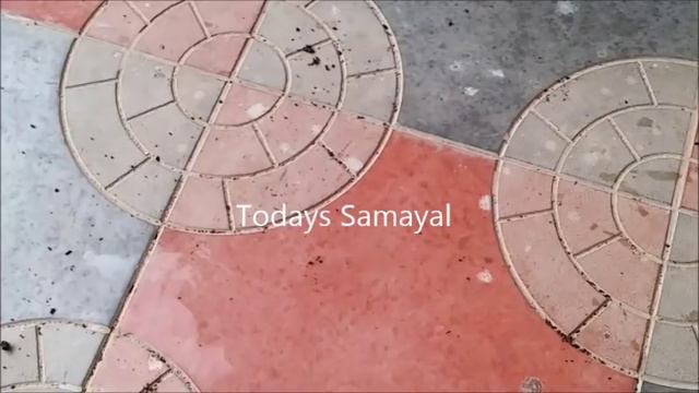 வல்லாரை கீரை மற்றும் வெந்தய கீரை செடி நன்கு வளர இதை மட்டும் செய்யவும் | GARDENING TIPS IN TAMIL