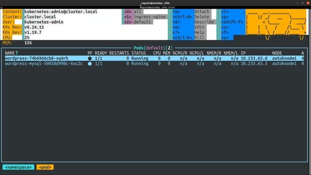 K9S, dashboard kubernetes... en 2min #zoom смотреть онлайн
