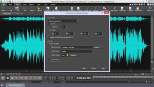 How to Split Audio | WavePad Audio Editing Tutorial
