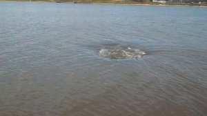 Борисовские пруды (водоворот)