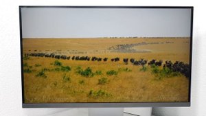 MSI Modern MD271UL: ОТЛИЧНЫЙ 4К МОНИТОР ДЛЯ ВСЕХ!