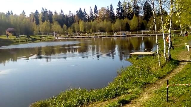 Платная рыбалка в Андрейково на Новорижском шоссе КРХ ТРИФОН