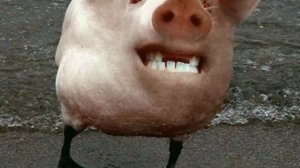 НЕСУЩЕСТВУЮЩИЕ ЖИВОТНЫЕ!