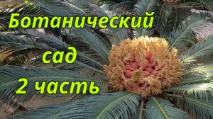 Ботанический сад.2 часть.Ю.Корея.