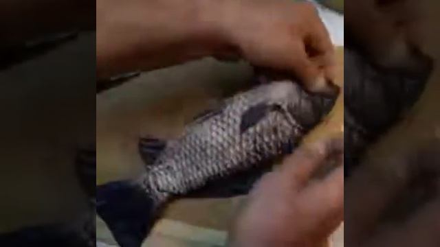 Как разделать рыбу без ножа смотреть онлайн