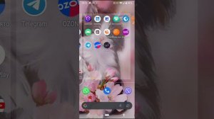 PLS DONATE Как создать свою вещь для продажи