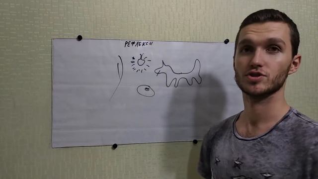 Условные и Безусловные рефлексы