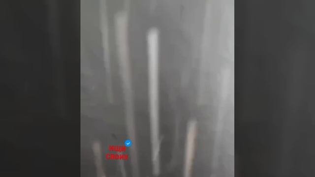 Белгород граница