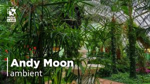 Andy Moon | ambient | Dj set | @BotanicalGarden Izhevsk October'22