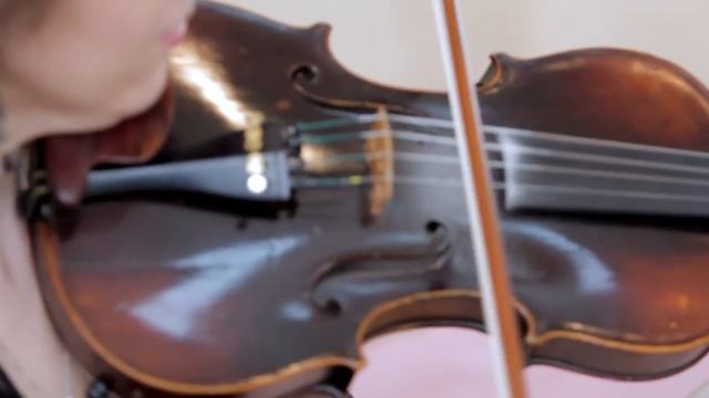 string quartet LA BELLA струнный квартет