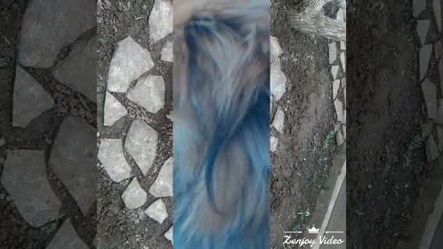 Мой ЛЮТИК! VLOG#1 смотреть онлайн