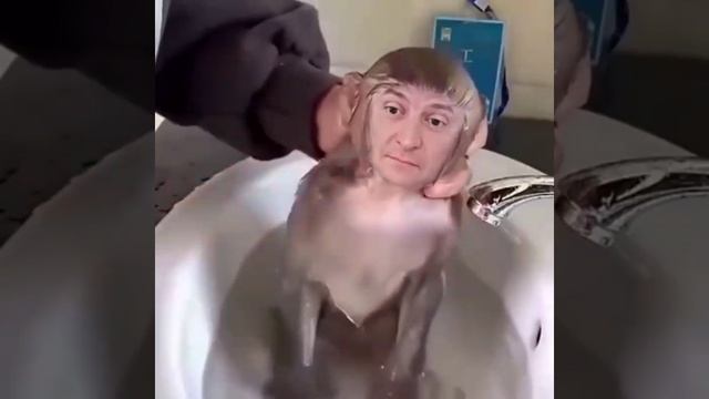 Обезьянка