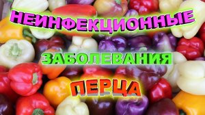 Опасные болезни перца. Способы Лечения перцев. Профилактические меры борьбы с болезнями. Коротко!