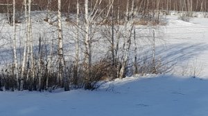 2.ФЕВРАЛЬ.МАСЛЕНИЦА..mp4