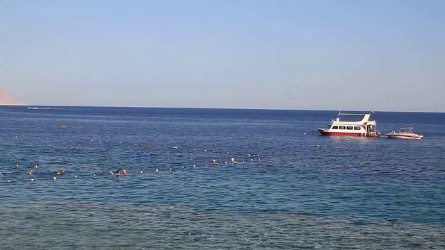 Пляж отеля Hilton Sharks bay. Red sea. Egypt. смотреть онлайн