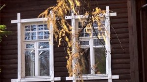 Life: Петухова дача в Краснозаводске