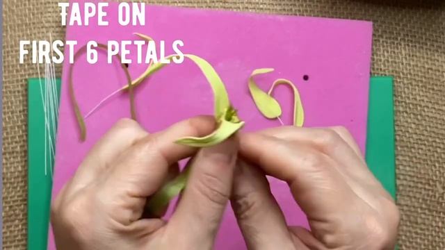 Ylang -Ylang flower смотреть онлайн