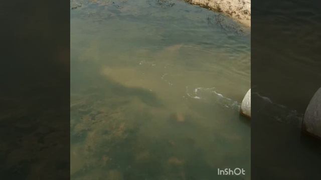 Горячий источник. Куда поехать. смотреть онлайн