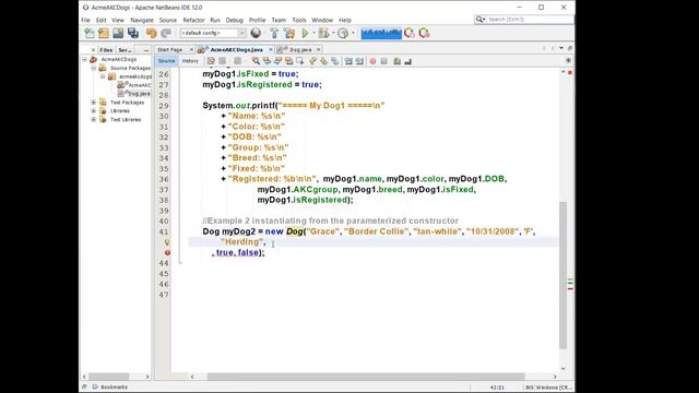 CMPSC115-1929 JAVA Intro to Classes - AKC Dog Show смотреть онлайн