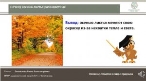 Почему осенью листья разноцветные