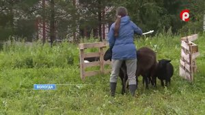 Новое учебное поле в Вологодской государственной молочнохозяйственной академии имени Верещагина
