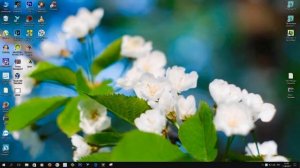 Разбивка диска под linux и windows