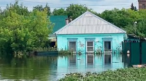 Дома уходили под воду, животные захлебывались. Потоп в Челябинске обернулся трагедией