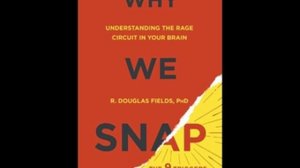 Why We Snap: Understanding the Rage Circuit in Your Brain