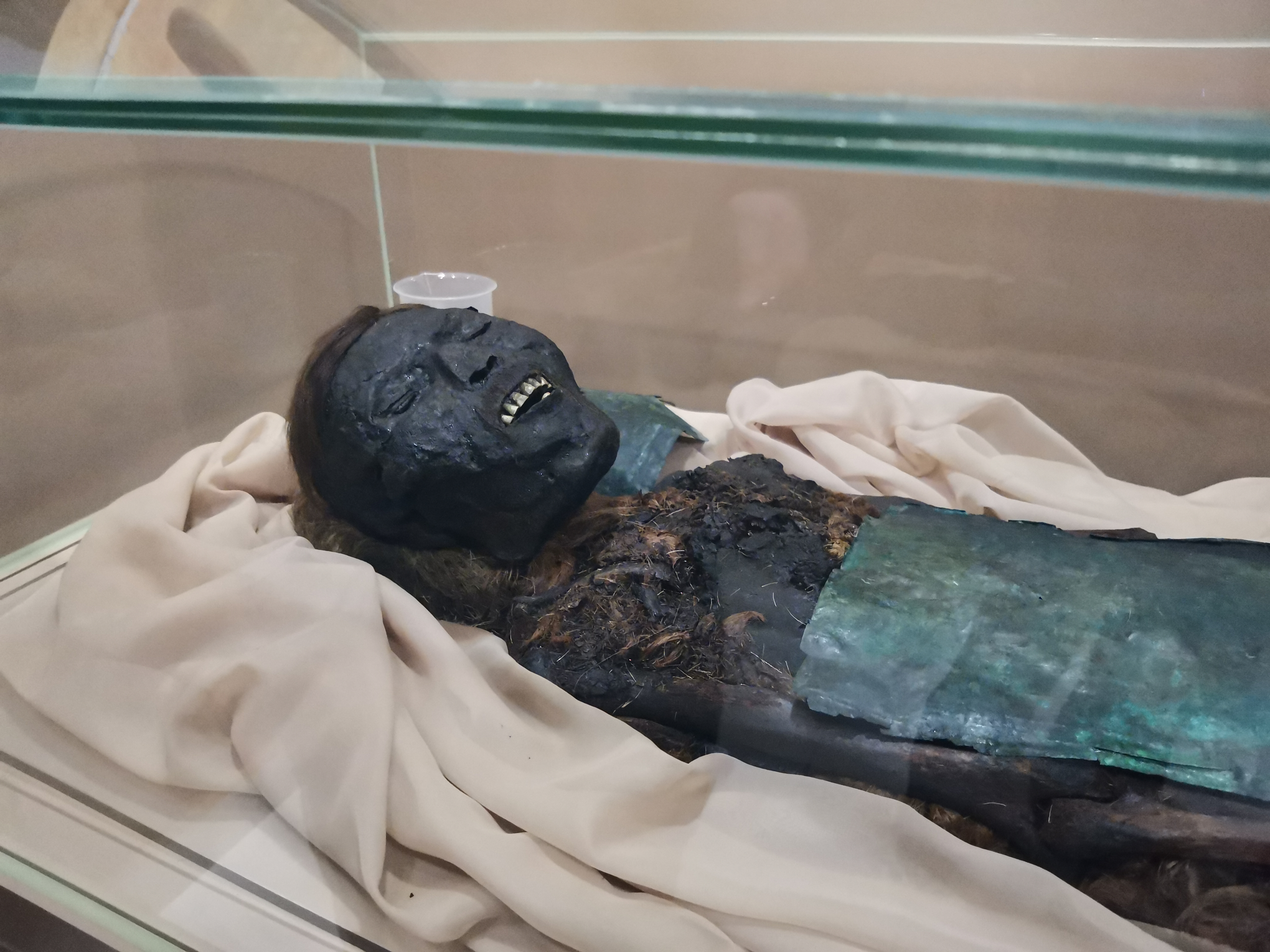 МУМИЯ ВОИНА XIII в | черный воин, найденный во время раскопок в "Зеленом яру" | музей Шемановского