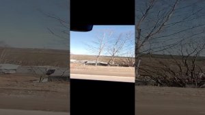 кизел пермский край.