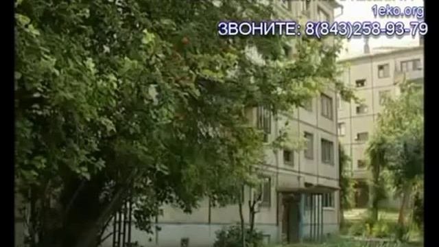 Клопы в Квартире