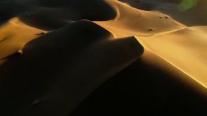 Davran - Deep Asia