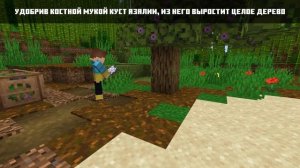 Всё про МОХ АЗАЛИЯ ЛИШАЙНИК | Майнкрафт Факты 1.17
