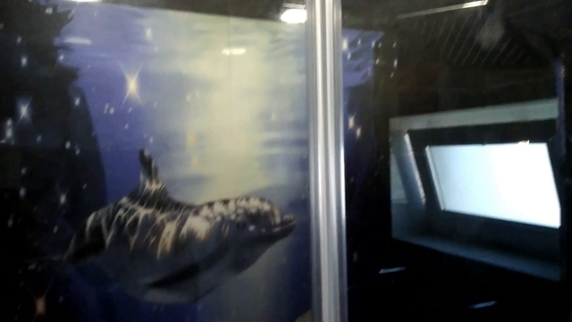 Стеклянная перегородка для ванной комнаты смотреть онлайн