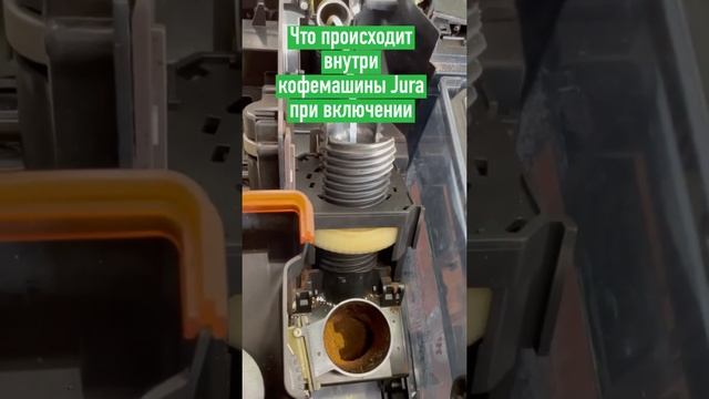 Как работает заварочный блок кофемашины Jura смотреть онлайн