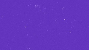 Тепло-звукоизоляционные плиты Белплит Multi