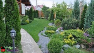 Ландшафтный дизайн  с хвойниками Landscape design with conifers