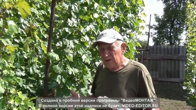 Внекорневая подкормка калием, контроль ph рабочего раствора смотреть онлайн